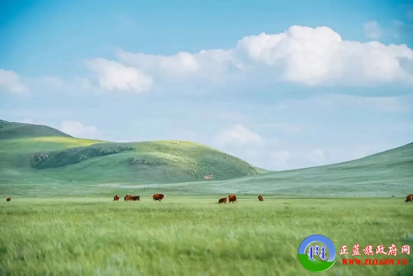 推动五大任务见行见效 | 正蓝旗：筑牢绿色屏障 厚植生态底色