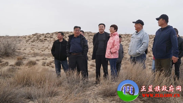 刘晓敏深入基层开展调研