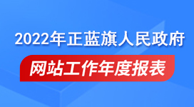 政府网站年度工作报表