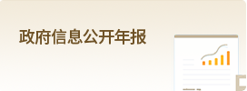 政府信息公开年报